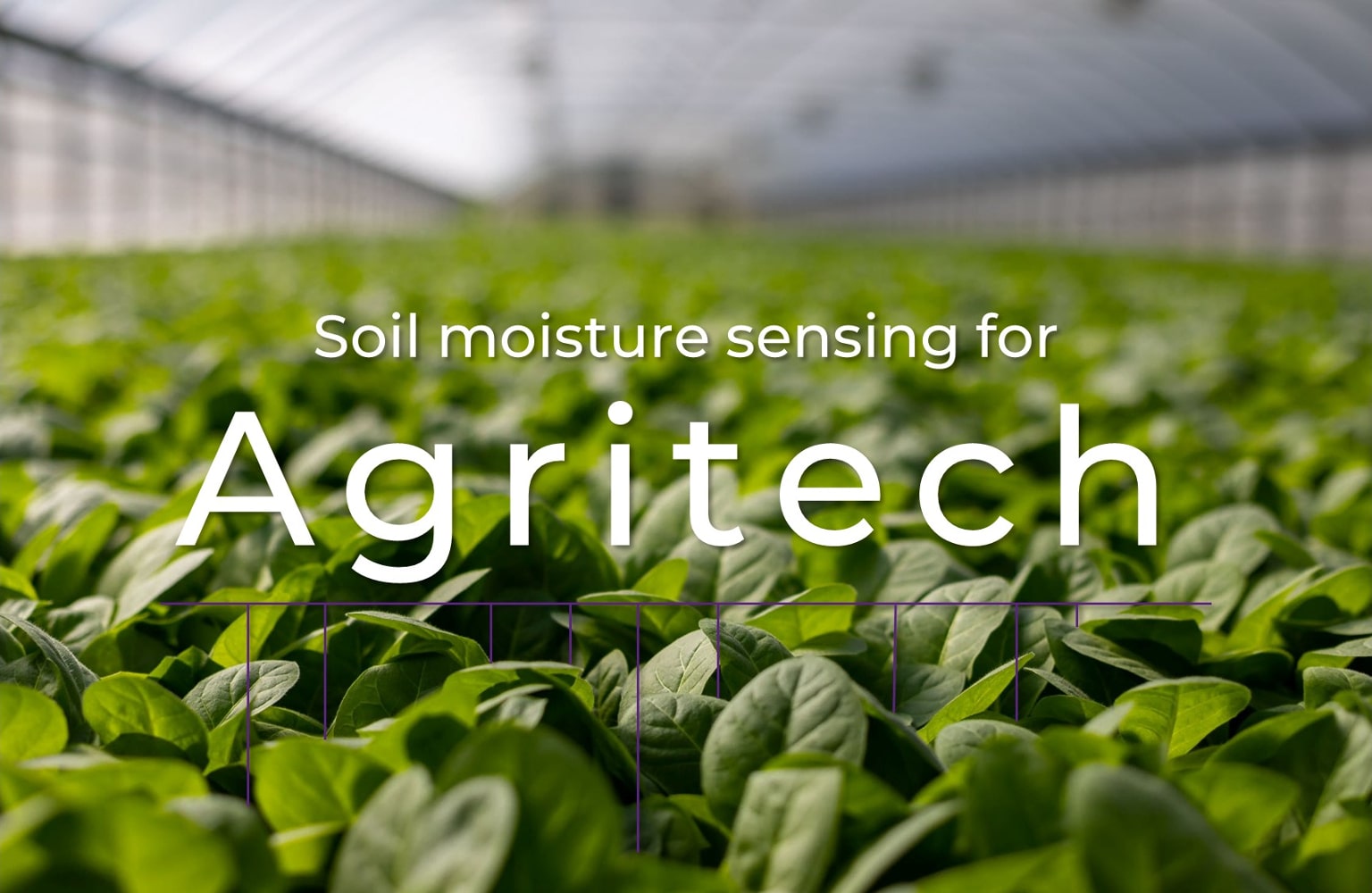 Smart Humidity Sensor for Agriculture Industry